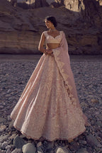 Lehenga Blouse Dupatta Soft Pink