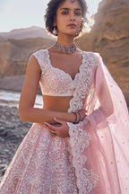 Lehenga Blouse Dupatta Soft Pink