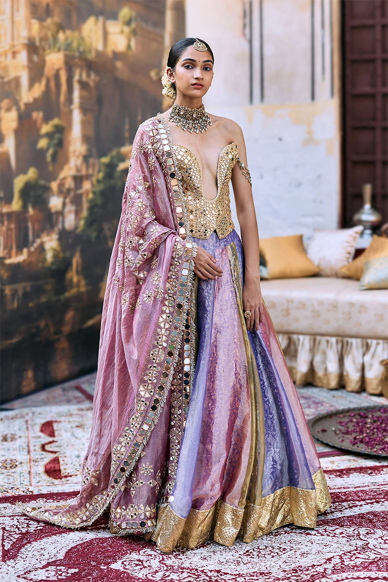 Lehenga Blouse Multicolour