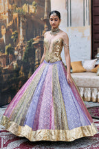 Lehenga Blouse Multicolour