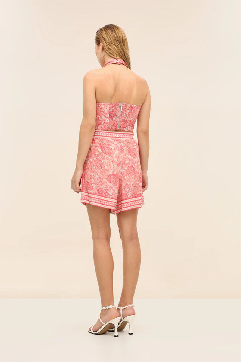 Top Coral