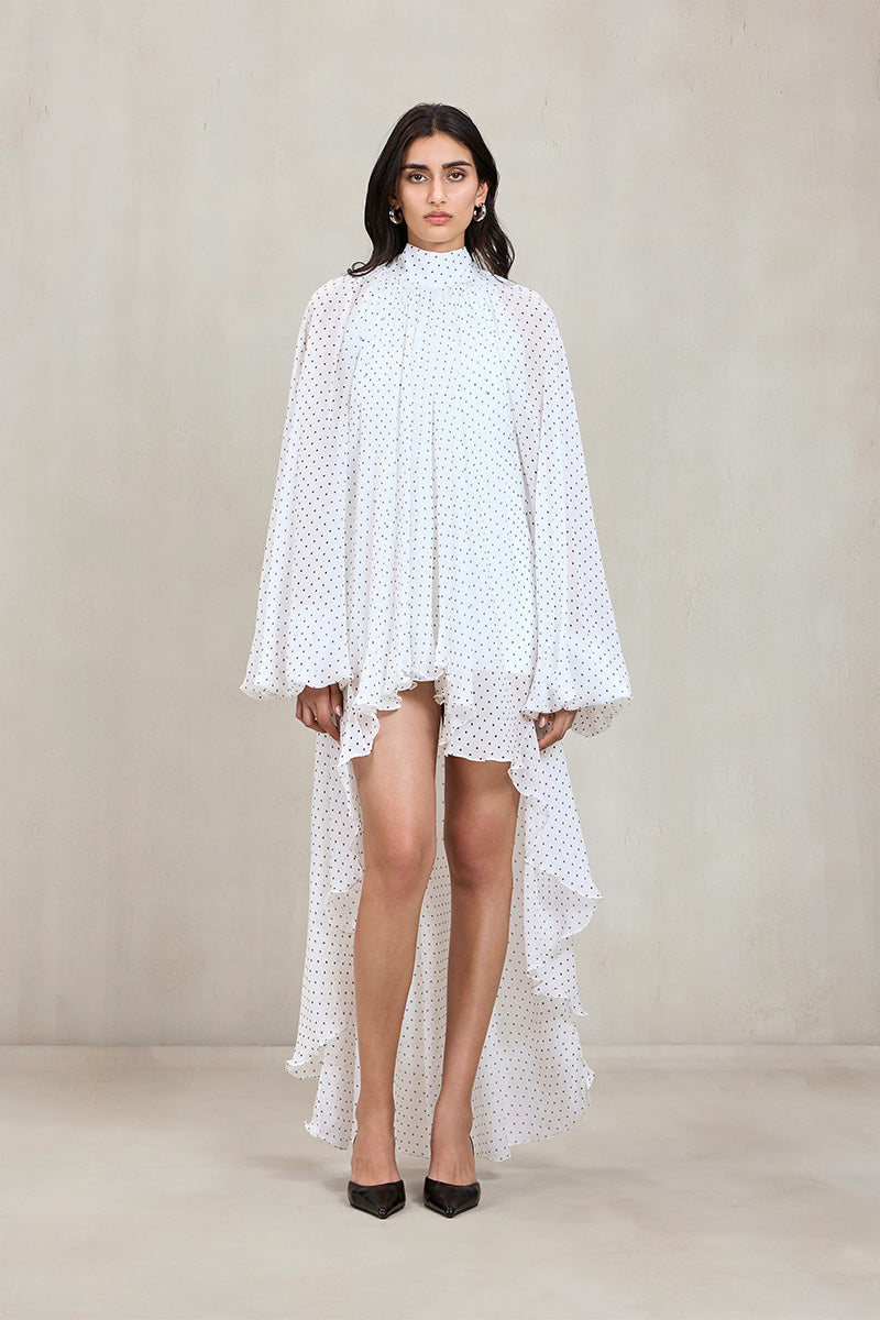 Top Polkawhite