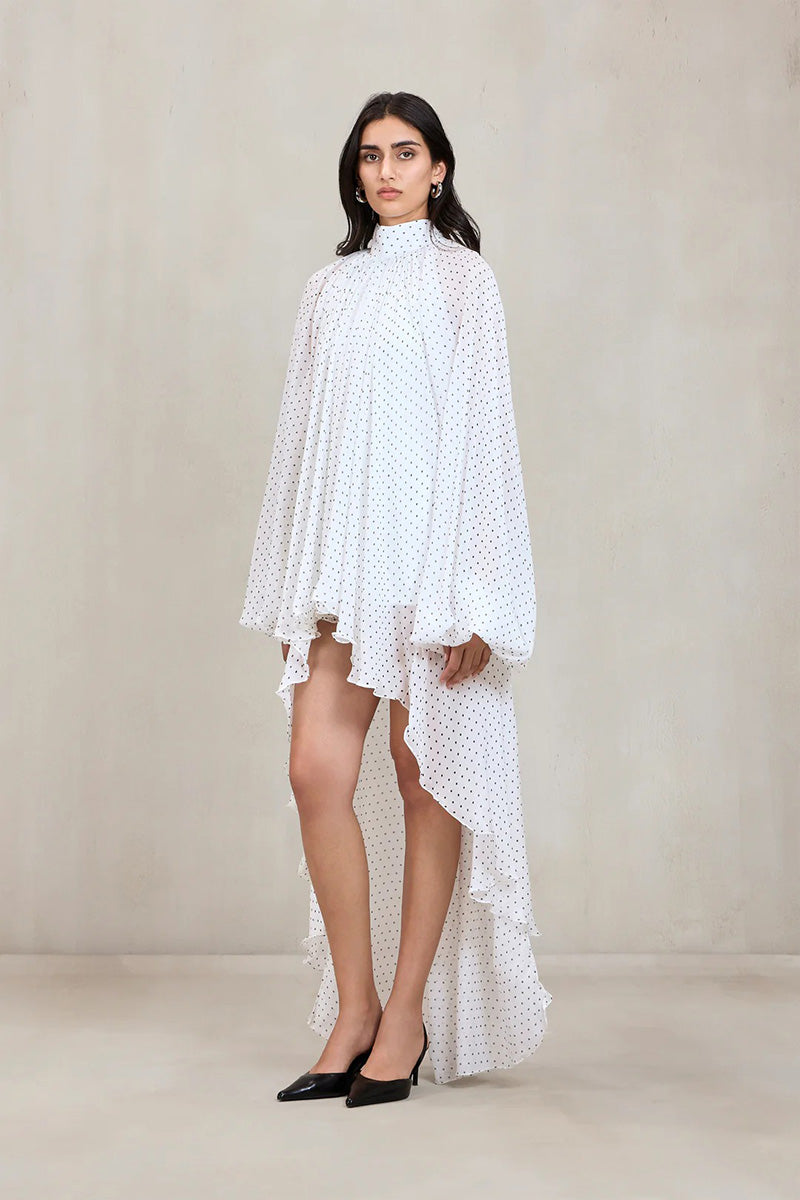 Top Polkawhite