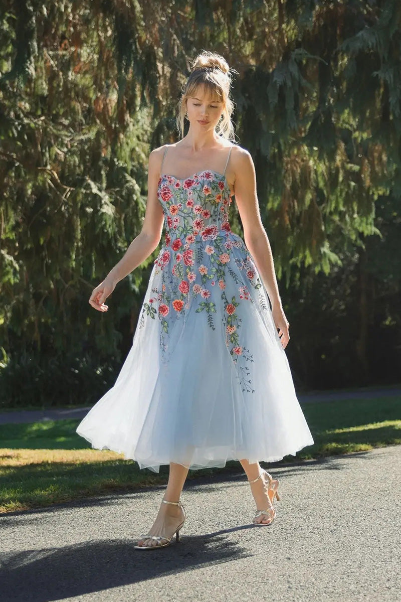 Dress Black Powder Blue