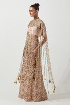 BIB BUSTIER SHARARA BLUSH PINK