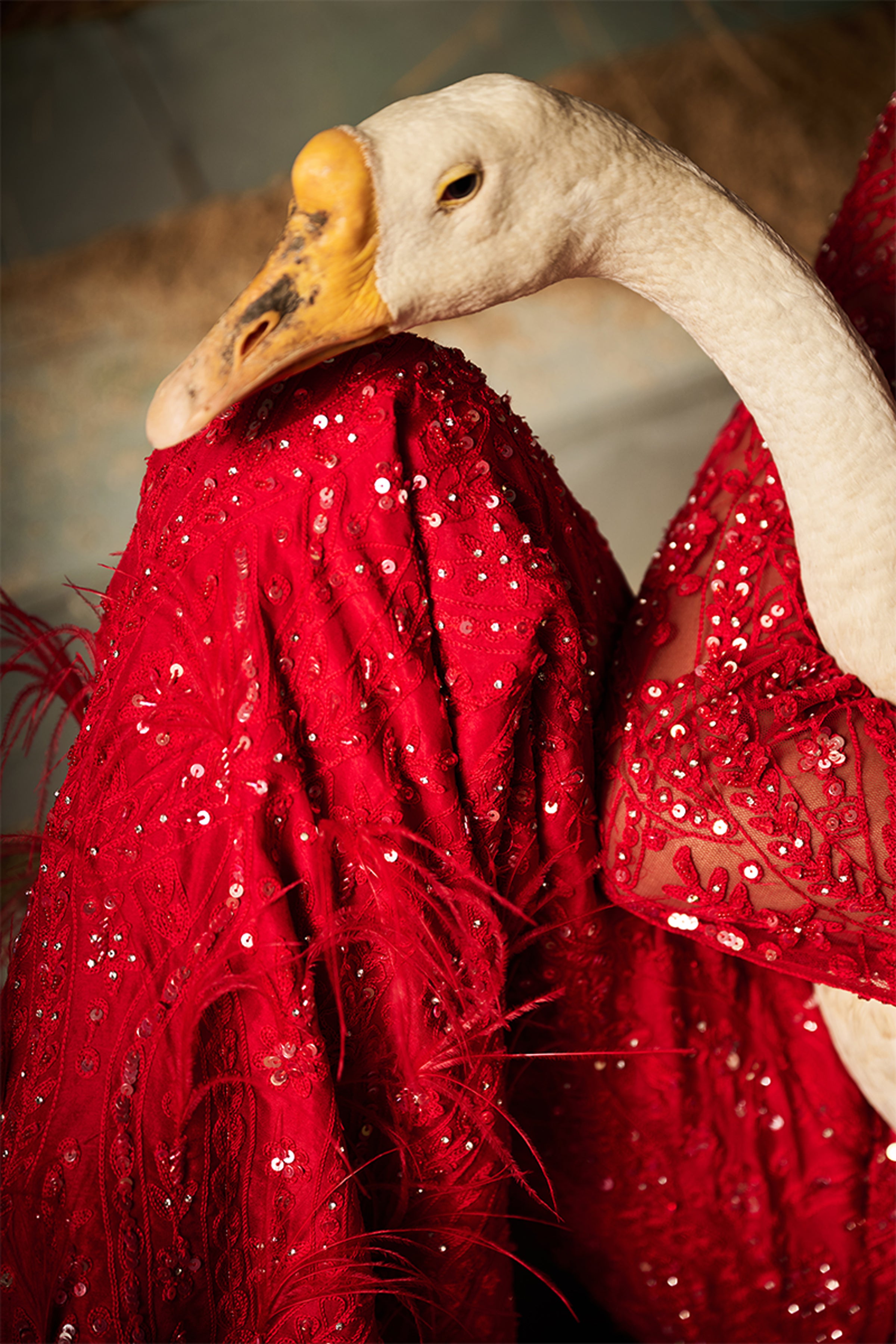 ROCOCO BY RAGHVI PEPLUM PANT DUPATTA RED