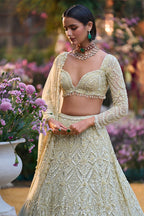 Lehenga Blouse Dupatta Green