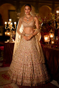 Lehenga Blouse Dupatta Stone-Pearl