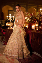 Lehenga Blouse Dupatta Stone-Pearl