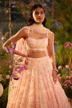 Lehenga Blouse Dupatta Candy Pink