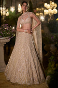 Lehenga blouse Dupatta Coffee-Floral