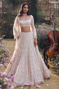 Lehenga Blouse Dupatta Powder-Peach