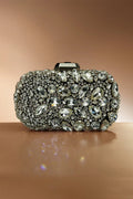 Silver Clutch